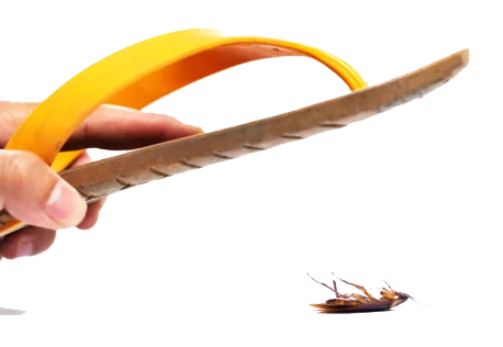 chinelo mata barata